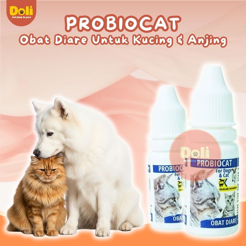 Obat Diare Kucing Obat Berak Darah Kucing Probiocat Alami Original