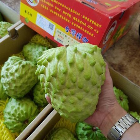 Srikaya Import Taiwan Super jumbo 6 kg / Karton