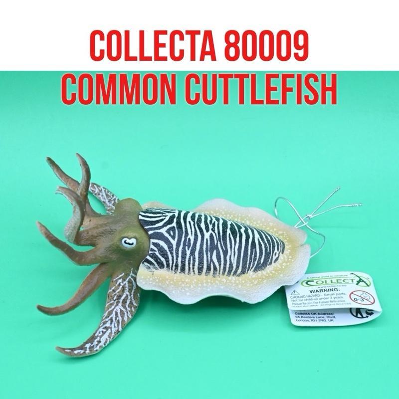 CollectA 80009 Common Cuttlefish Cachon Sepia Sotong Katak Sepia Officinalis | Mainan Figure Binatan