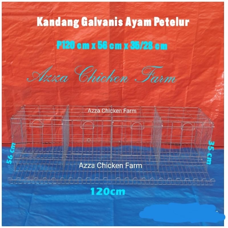Kandang Ayam Petelur Galvanis Uk 120x56x35/28