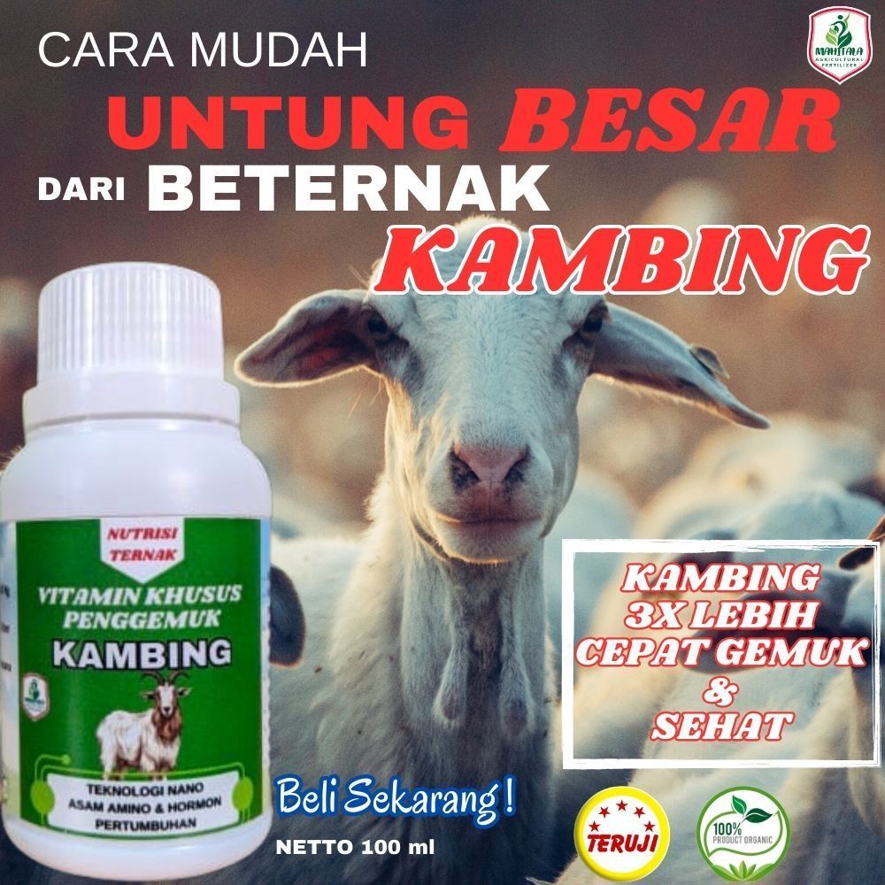 Vitamin Khusus Kambing Biar Gemuk Obat Penggemuk Kambing Domba Obat Nafsu Makan Kambing Domba  Obat 