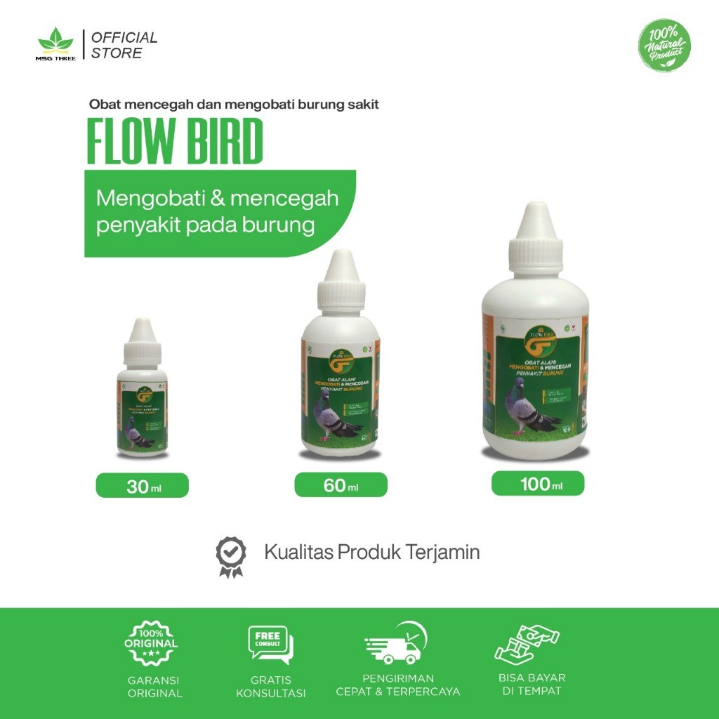 Obat Herbal Mencegah dan Mengobati penyakit Burung Merpati Perkutut Kicau  - Flow Bird