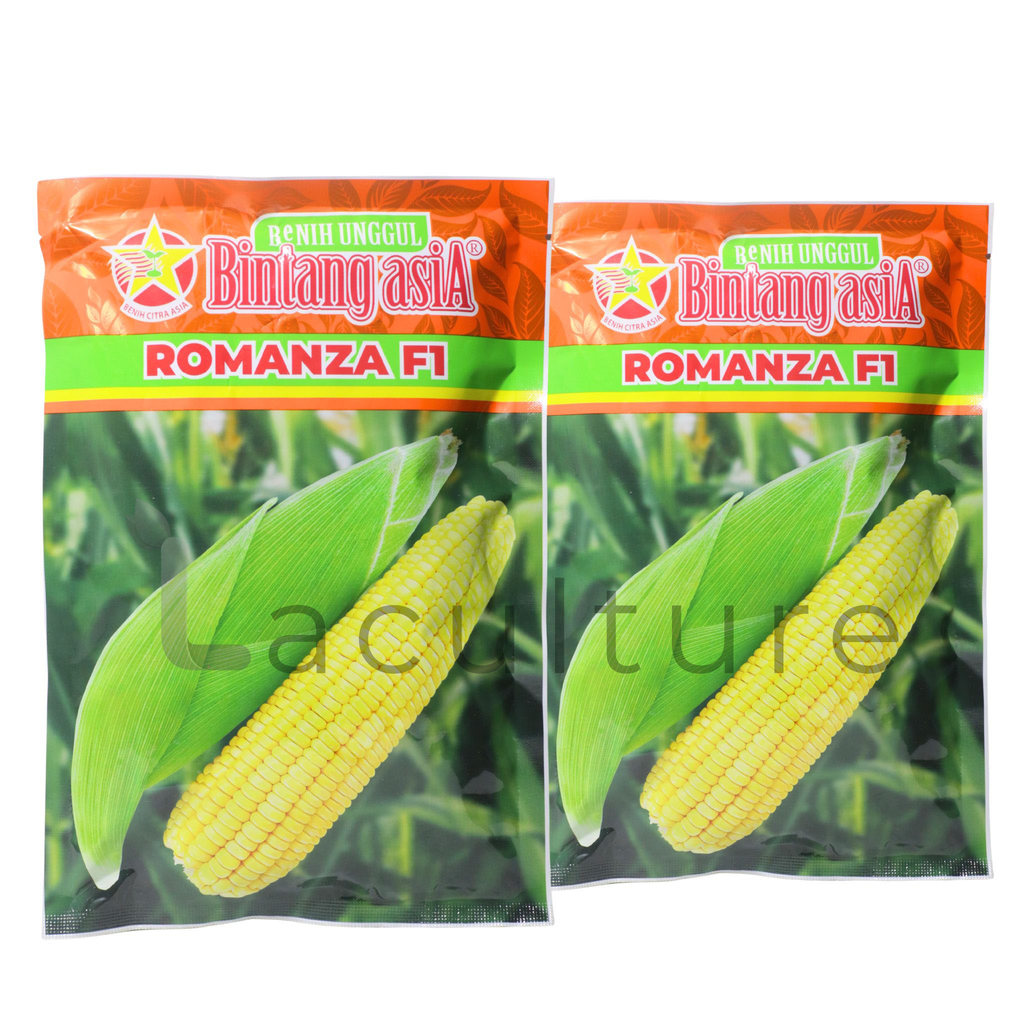 Benih Jagung Manis ROMANZA Isi 250 gram Benih Bintang Asia