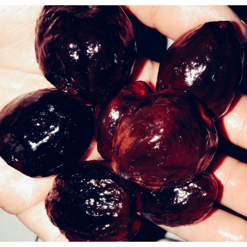 News Arrival Muncang Adu Jalim/Jawa Kondisi Matang Siap Adu