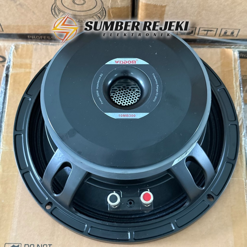 Speaker WISDOM 10 Inch 10MB300 Original Voice Coil 3 inch