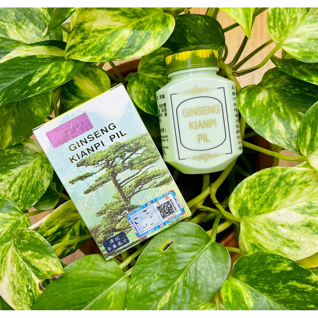 ~Mesiasis~ BADAN (Original BPOM) Kianpi Pil Ginseng Kapsuma Obat Penggemuk Terampuh