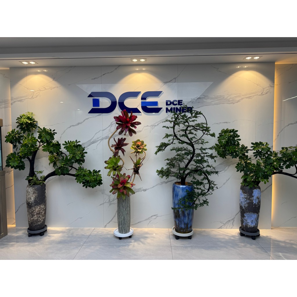 Canaan Avalon Nano 3 4T 140W Lucky Miner Free Shipping