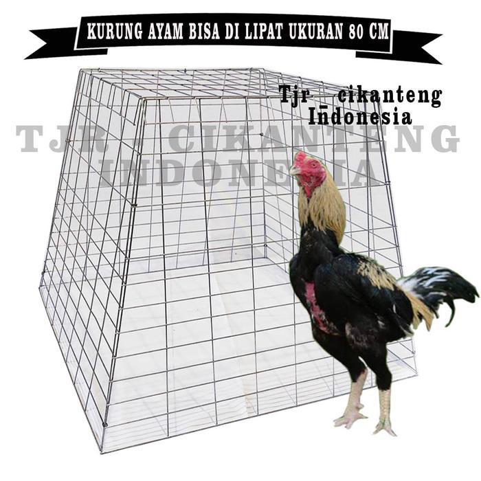 kandang ayam atau kurung ayam model piramida bisa di lipat bahan besi di lapisi coatingan tahan kara