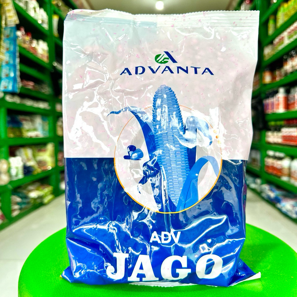 Benih Jagung ADV JAGO 1 Kg - Jagung Advanta JAGO Rendemen Tinggi