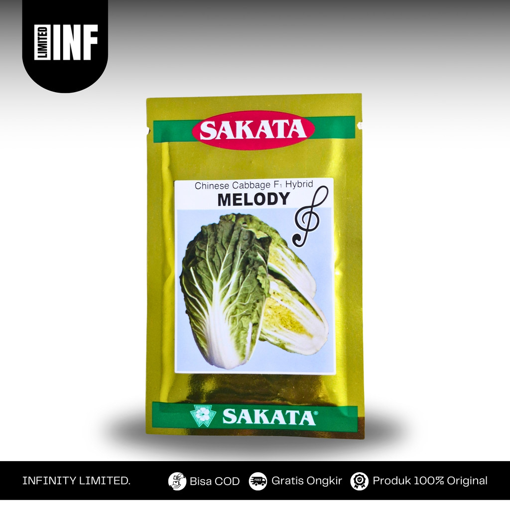 Benih Sawi Putih MELODY F1 Sakata – Semi Tropis 300–1300 mdpl