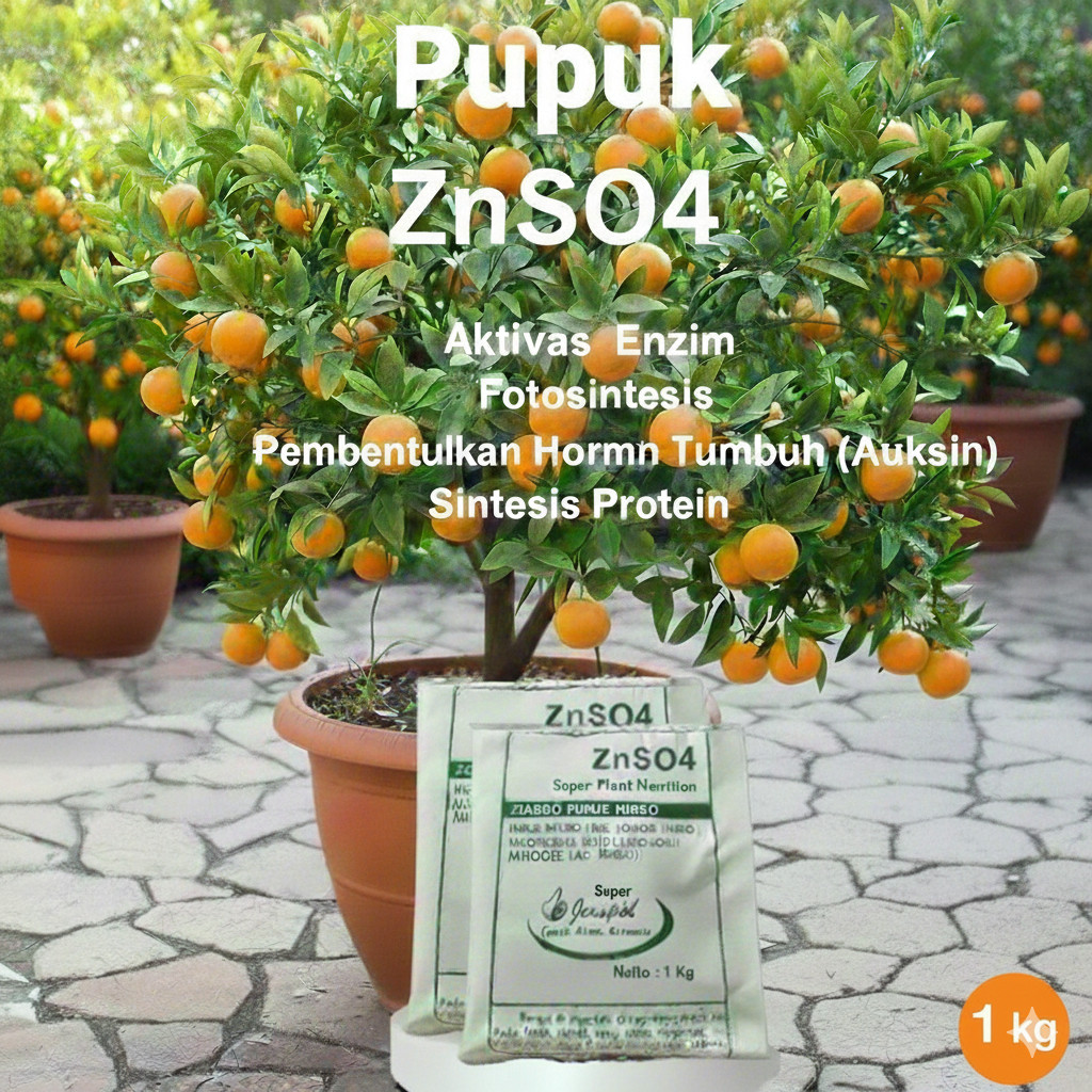 Pupuk Znso4 Zink Zinc ZN 1kg Original