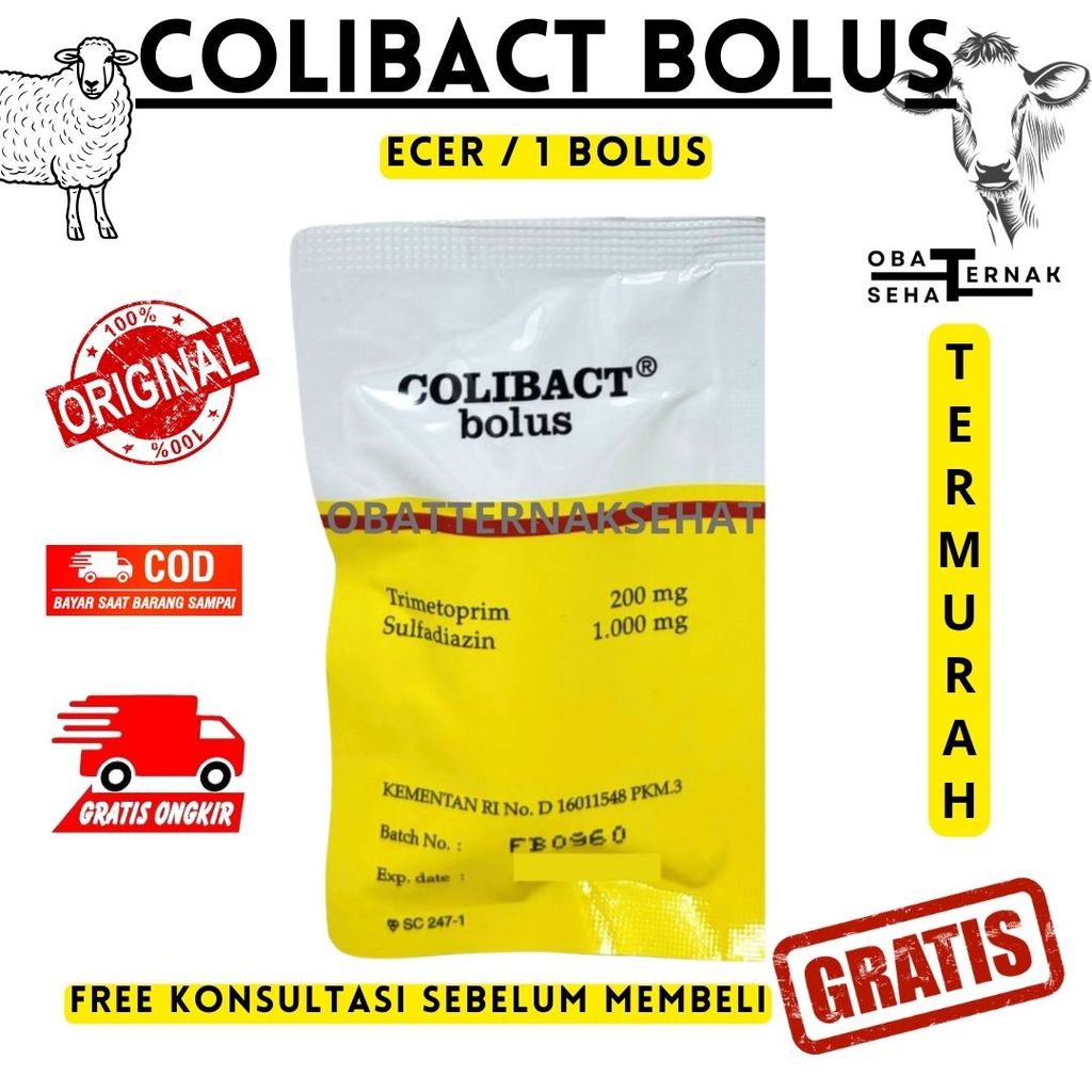 (ECERAN/PER-BOLUS) COLIBACT BOLUS (1 BOLUS) - SANBE