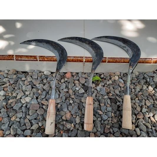 Arit Ani Ani Padi Bilah Panjang - Sabit Madura Kecil Pemotong Rumput Sage