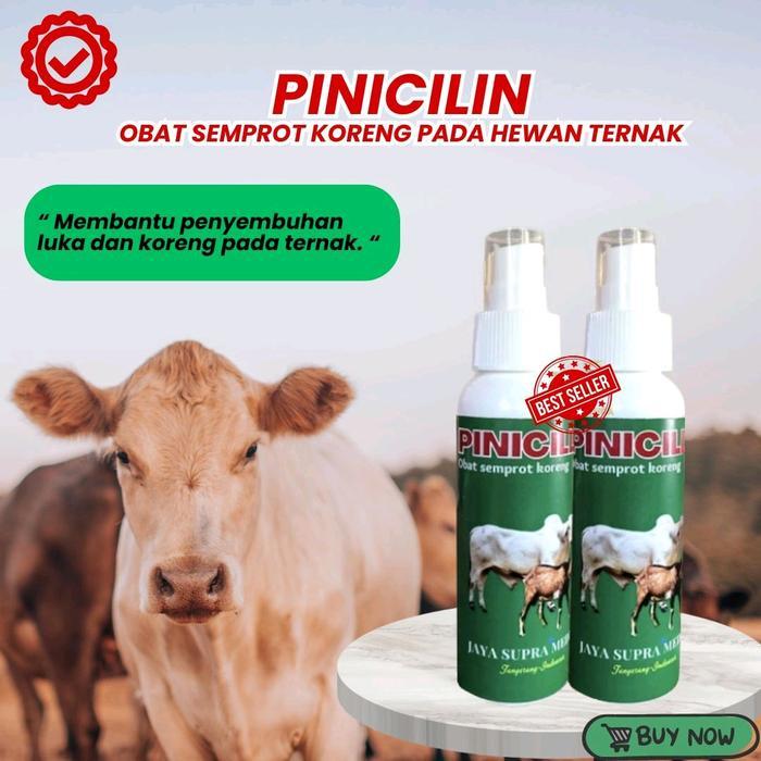 PINISILIN SPRAY KEMASAN BOTOL UNTUK MENGOBATI KORENG & LUKA PADA KAMBING & SAPI. ANTI LALAT)