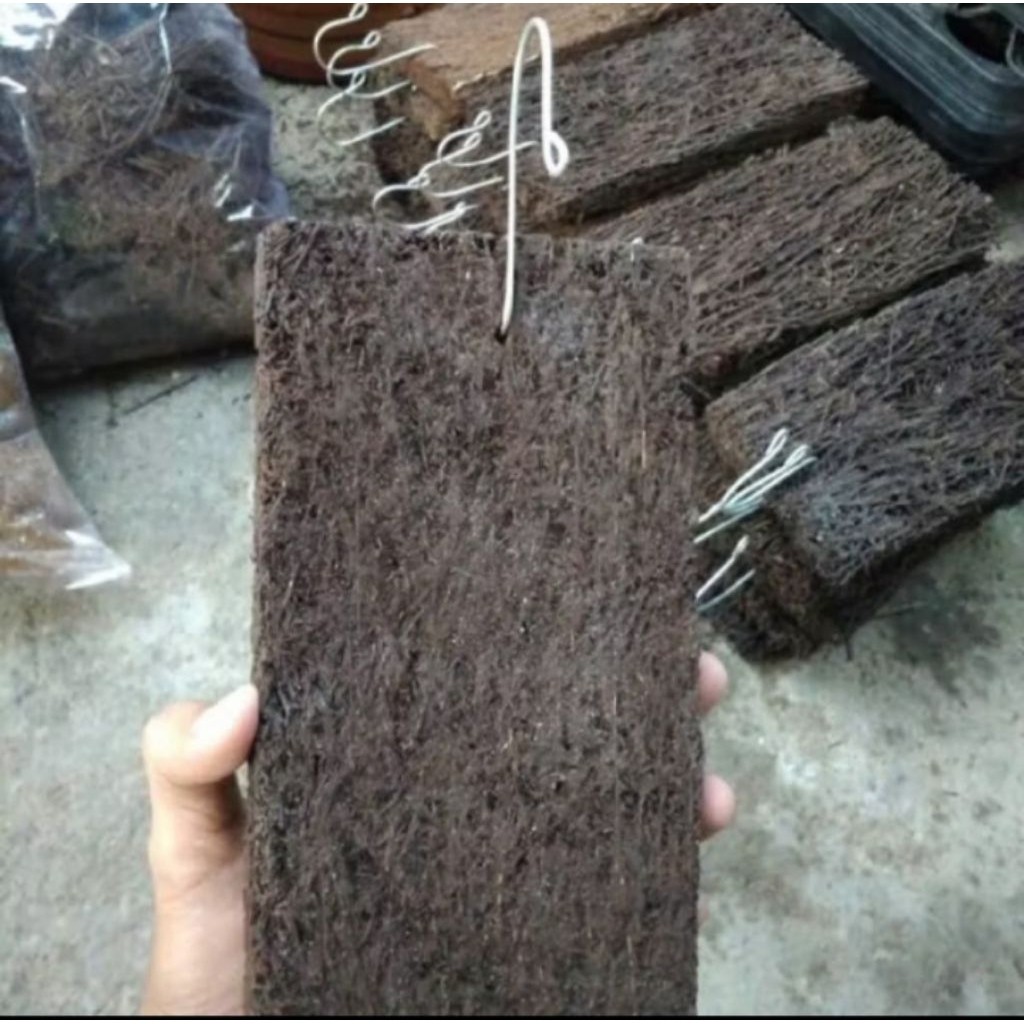 media paoan pakis lempeng ukuran 25x10 besar audah sama cantelan