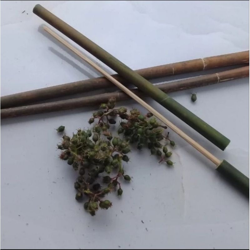 MAINAN PLETOKAN ANAK ANAK