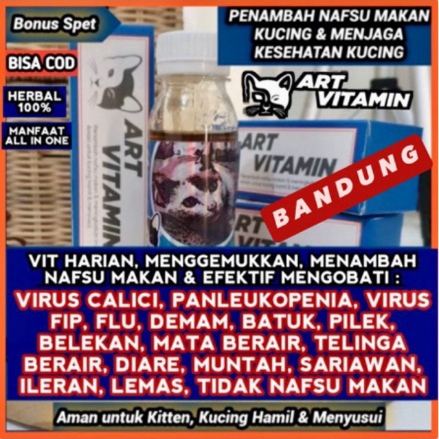 (Burqyu) Art Vitamin Official Bandung / Obat Kucing Virus Flu Bersin Demam Tidak Nafsu Makan Virus C