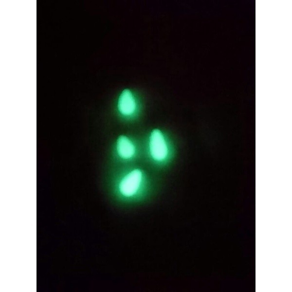 natural mustika lipan tetes batu pos por pospor