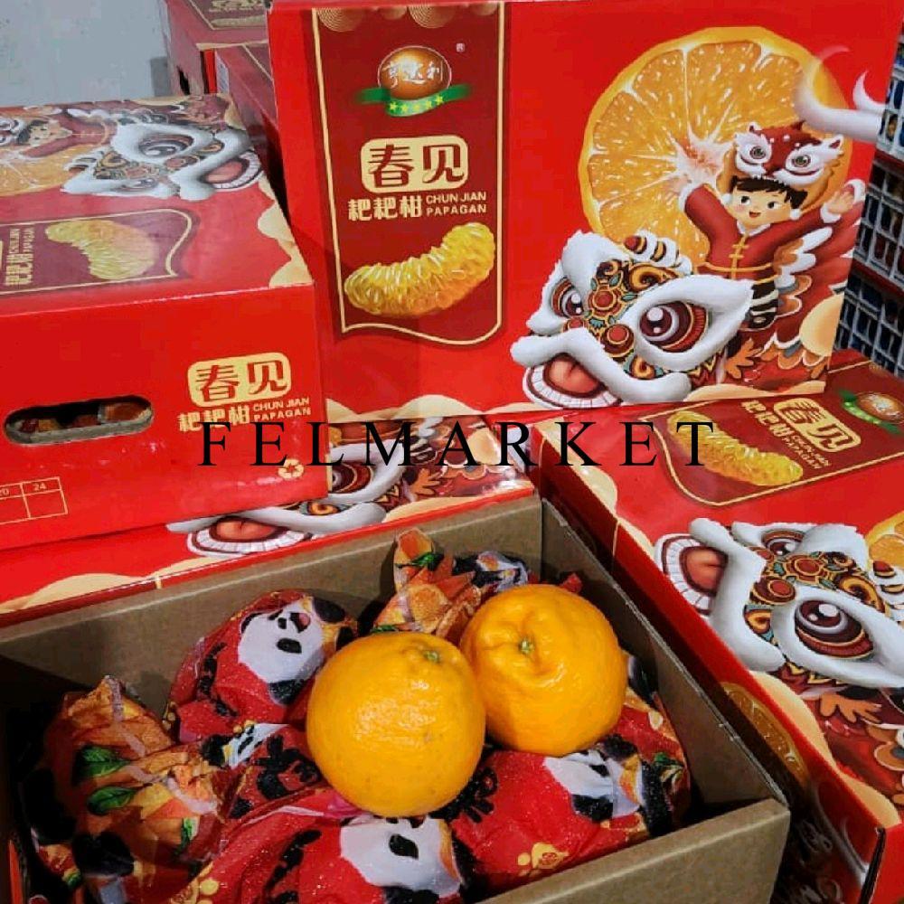 Promo Jeruk Papagan Fresh / Jeruk Chun Jian / 1 Dus