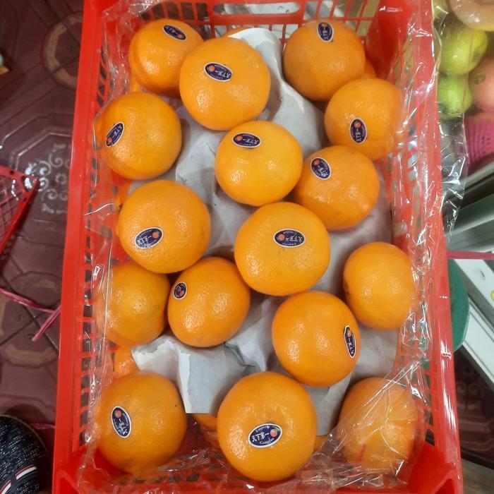 Jeruk Wokam 1 keranjang - 9 kg