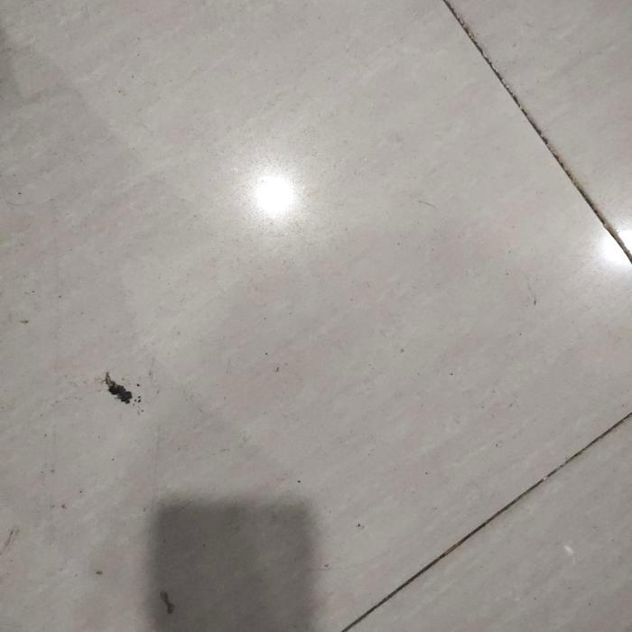 tas pelindung reel bag tas pancing sarung reel ryobi original register - ryobi original, S