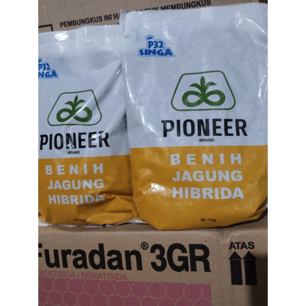 Benih Jagung PIONEER P32 SINGA 1KG