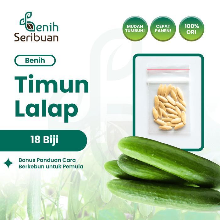 18 Benih Timun Lalap Vanesa F1 Cap Panah Merah - Benih Sayuran Seribuan - TIMUN LALAP