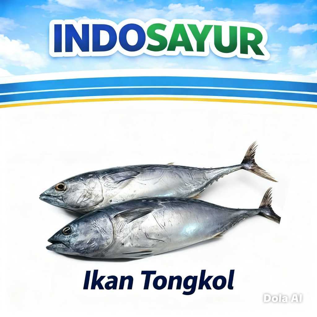 Ikan Segar Tongkol Fresh / IKAN TONGKOL 1 KG