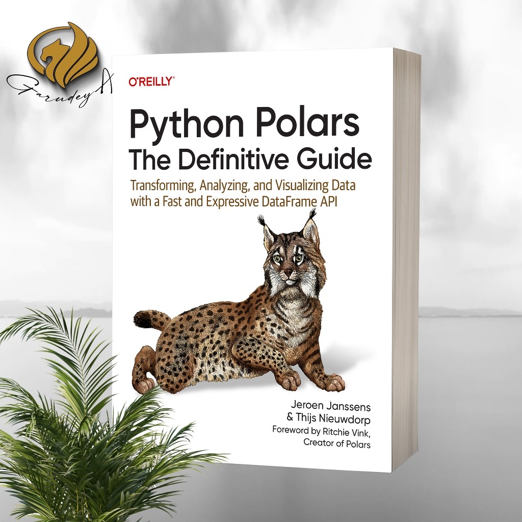 Python Polars The Definitive Guide