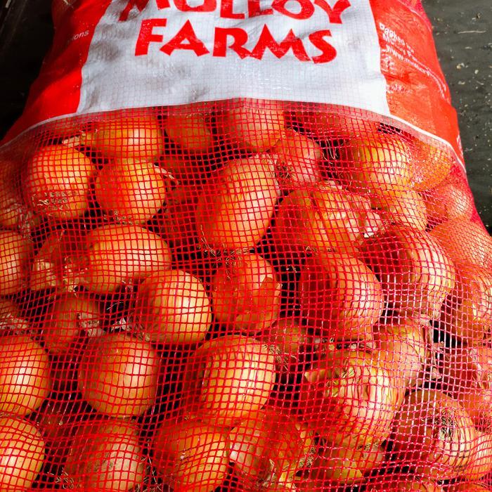 jual bawang Bombay kecil karungan (+- 20 kg )
