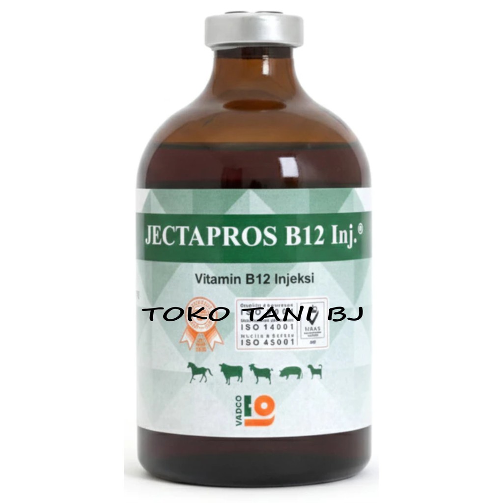 { BISA COD } JECTAPROS B12 100 ML VADCO - Vitamin B12 Hewan Anti Anemia & Menambah Nafsu Makan Terna