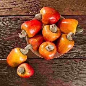 Bibit Tanaman Jambu Monyet/Mete/Mede siap tanam Okulasi Siap Tanam Cepat Berbuah