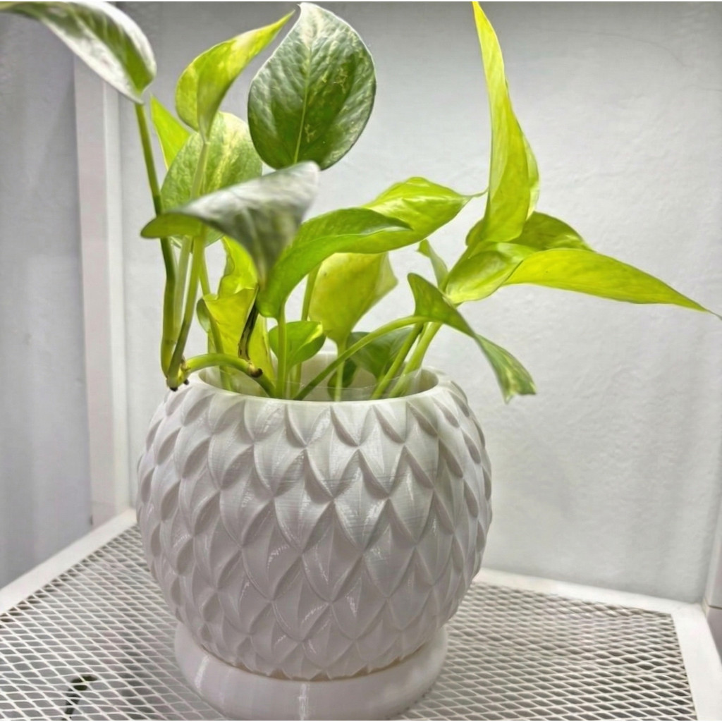 Pot Tanaman Estetik Minimalis Tatakan — Pot Bunga Indoor Motif Unik Aesthetic Dekorasi Meja