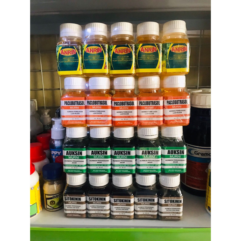 GIBERELIN,SITOKININ,PACLOBUTASOL,ANRIN