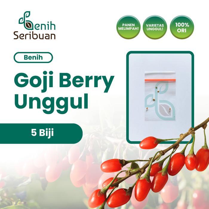 5 Benih Buah Goji Berry Manis Benih Tanaman Gojiberry Import Super - GOJI BERRY