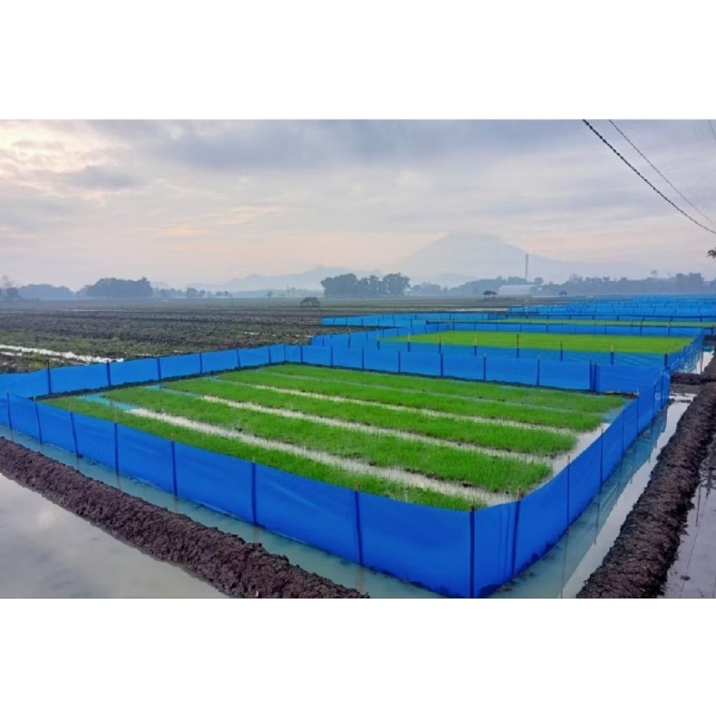 Plastik Fiber Pagar Sawah 1 ROLL