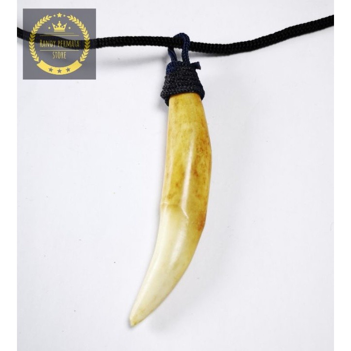Kalung Liontin Taring Macan Antik 7 Cm
