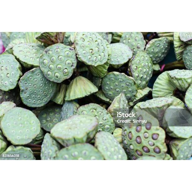 [LM] TERMURAH Biji Lotus Segar Pilihan | Biji Teratai Muda Fresh Grade A Siap Masak