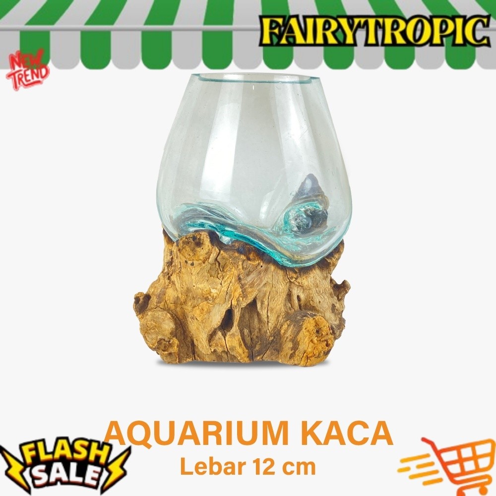 Aquarium Kayu 12 cm - Akuarium Akar - Akuarium Kaca Tiup - Akuarium Cupang - Aquarium Kaca Kayu- Vas