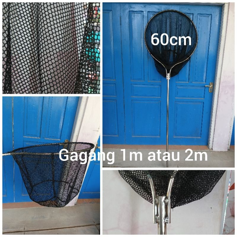 Qastokolele serokan ikan besar gagang panjang serokan ikan koi ready