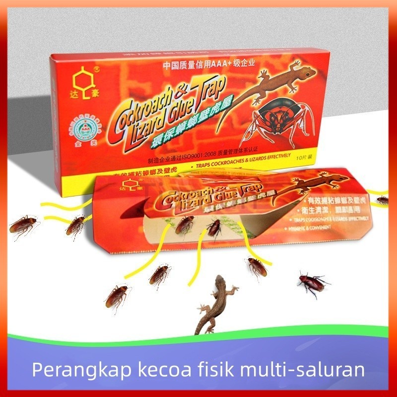 Perangkap Rumah Kecoa, Rumah Tokek, Jerat Rumah Kecoa