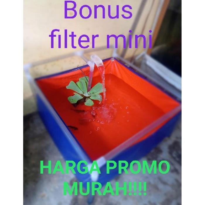 Termurah kolam mini portable (terpal,rangka,pompa dan bonus filter mini nya)