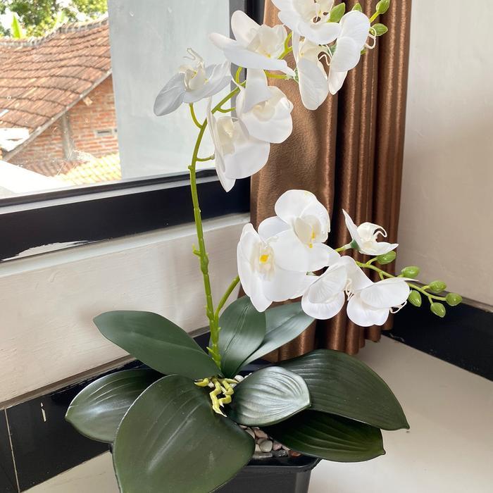 Bunga Anggrek Latek Film 2 Cabang Vas Kotak Hitam Plastik Good Quality 10 Helai Daun Bahan Latek Vas