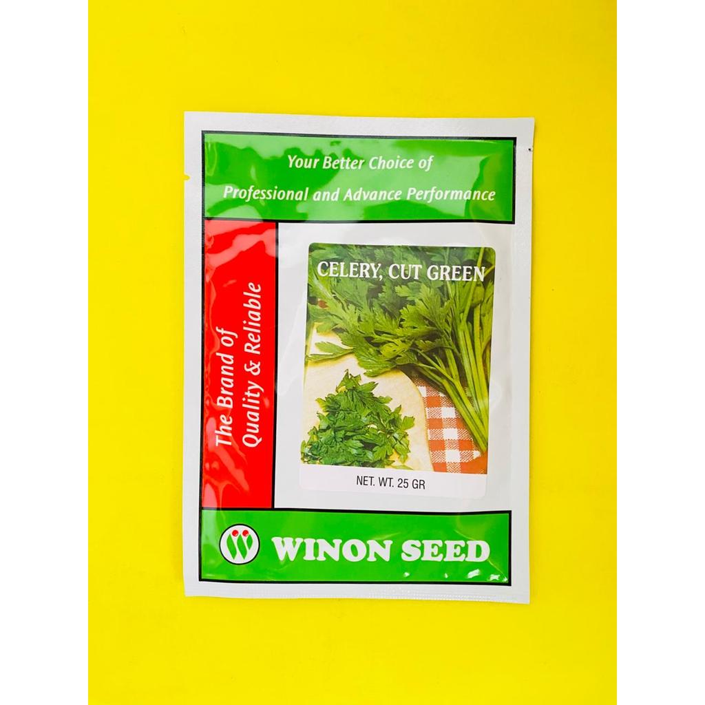 Benih seledri CELERY CUT GREEN cocok untuk semua dataran isi 25gr dari WINON SEED