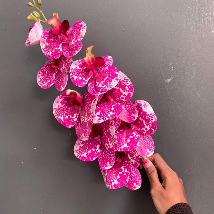 HOT PRODUK ANGGREK LATEX PREMIUM JUMBO 5 CABANG PHIRUS Plastik Bunga Latex dekorasi meja sudut Kuali