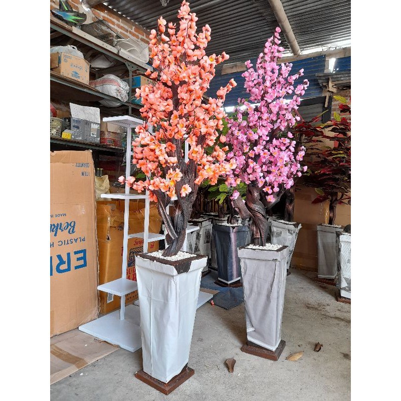 Bunga Sudut Sakura Jumbo / Bunga Hias Sakura Rimbun