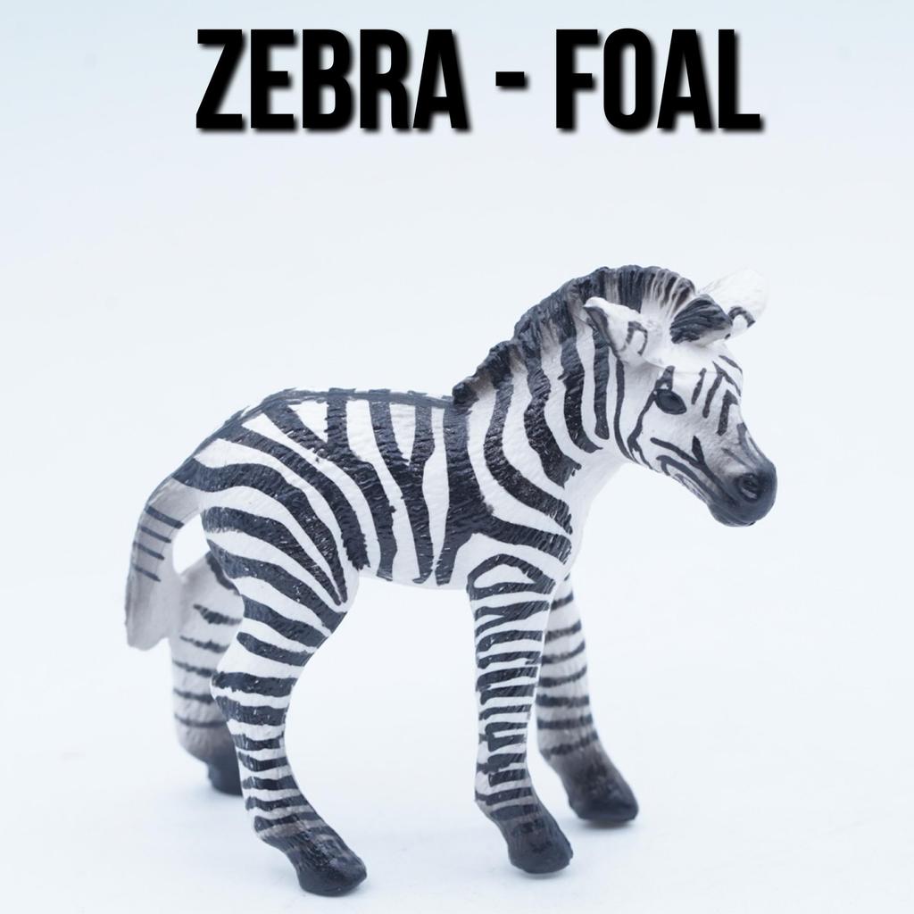 KORI ZEBRA Foal Anak Zebra Kuda Loreng Equus Quagga Mainan Figure Binatang Miniature Hewan Animal Fi