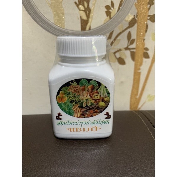 Kamlang Kering champ obat vitamin bangkok jamu ayam  25 kapsul (original 100% thailand)  TERLARIS Ay