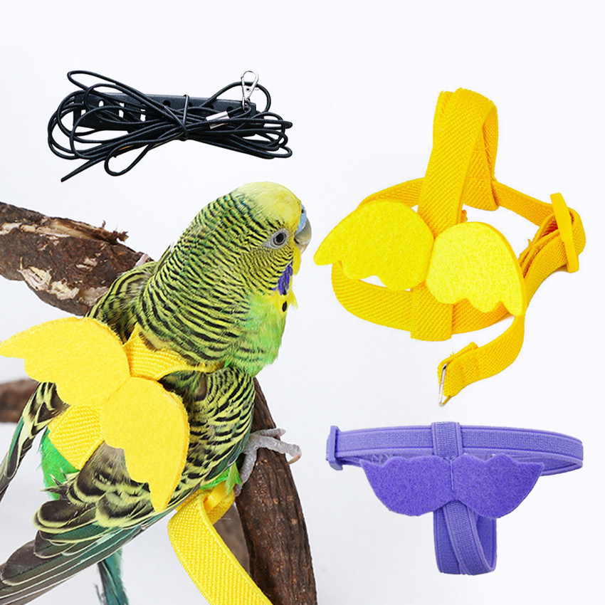 Harness Parrot + Tali 2M /  Anti Escape Tali Training Burung Parrot Jenis Cockatiel, Love Bird ,Nuri