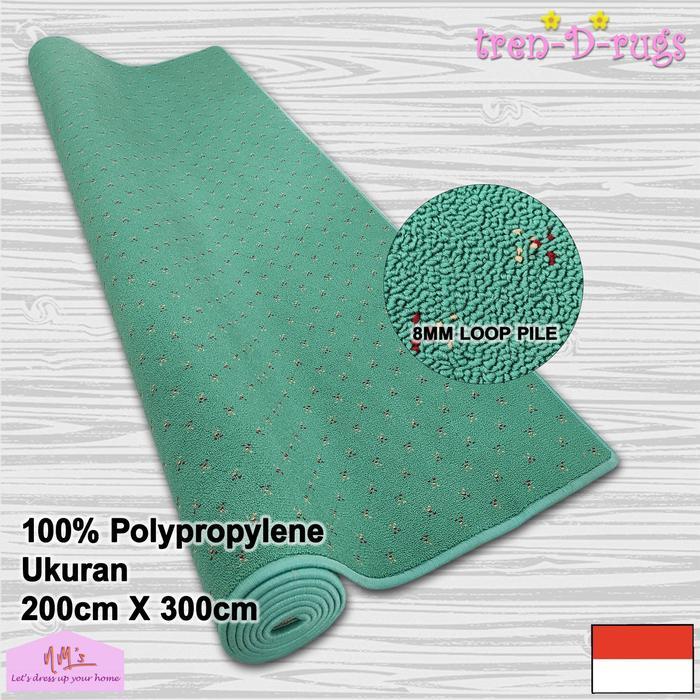 In Homeless Karpet polos jumbo lantai bulu permadani tebal minimalis murah 200x300 - HijauMintMotif.